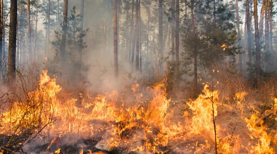 Canadian wildfire season