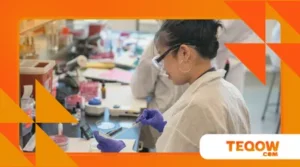 Canada’s Work-Integrated Learning (WIL) Expansion: What 8,000 New Student Placements Mean for Workforce Development